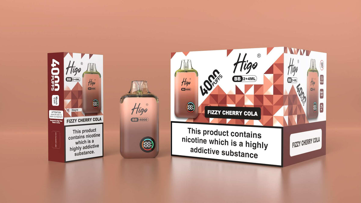 Higo BB 4000 Prefilled Pod Vape Kit Box of 5