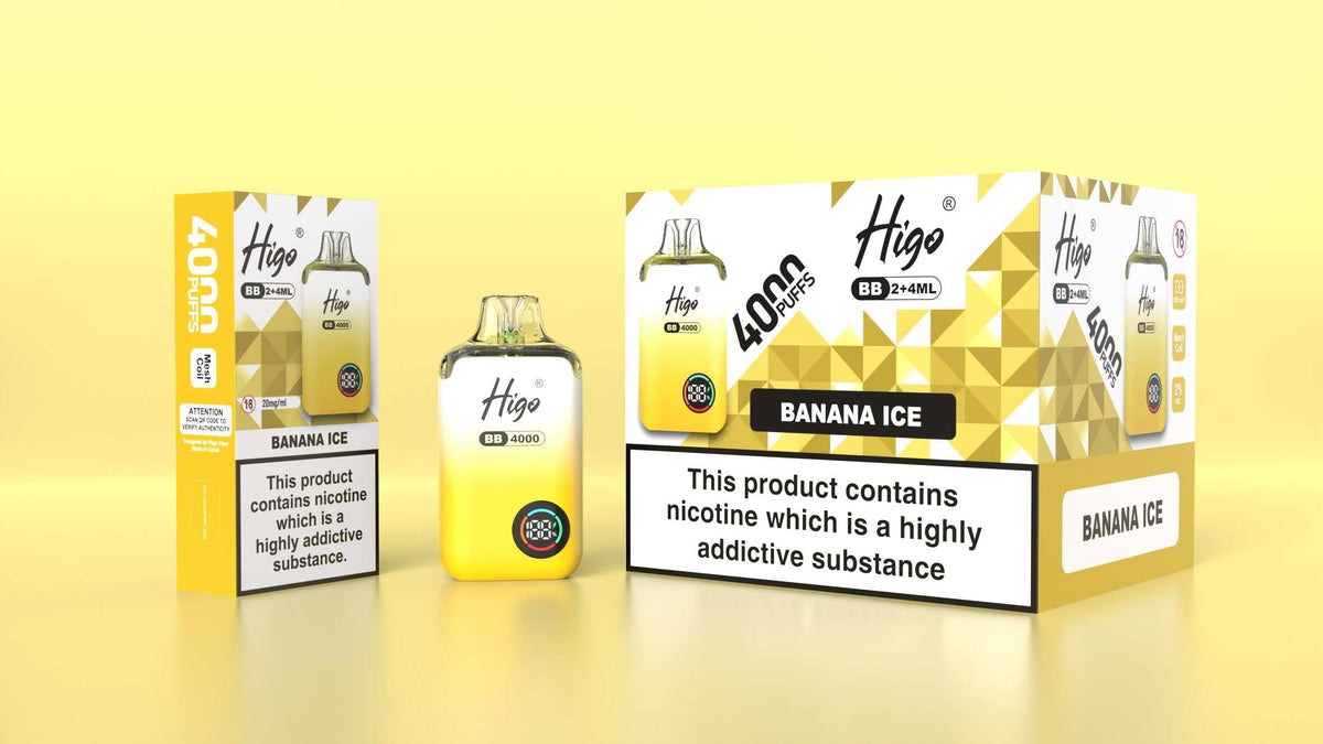 Higo BB 4000 Prefilled Pod Vape Kit Box of 5