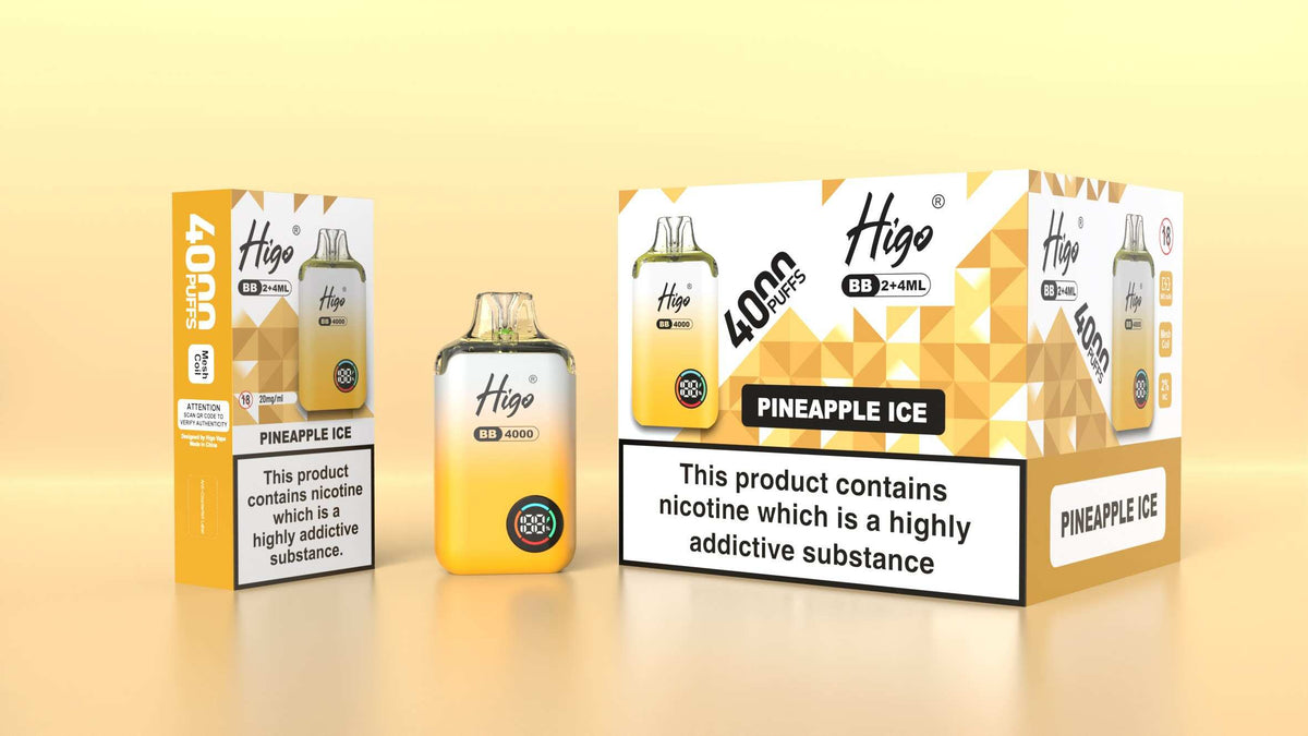 Higo BB 4000 Prefilled Pod Vape Kit Box of 5