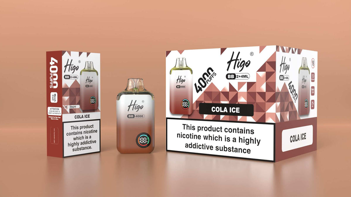 Higo BB 4000 Prefilled Pod Vape Kit Box of 5