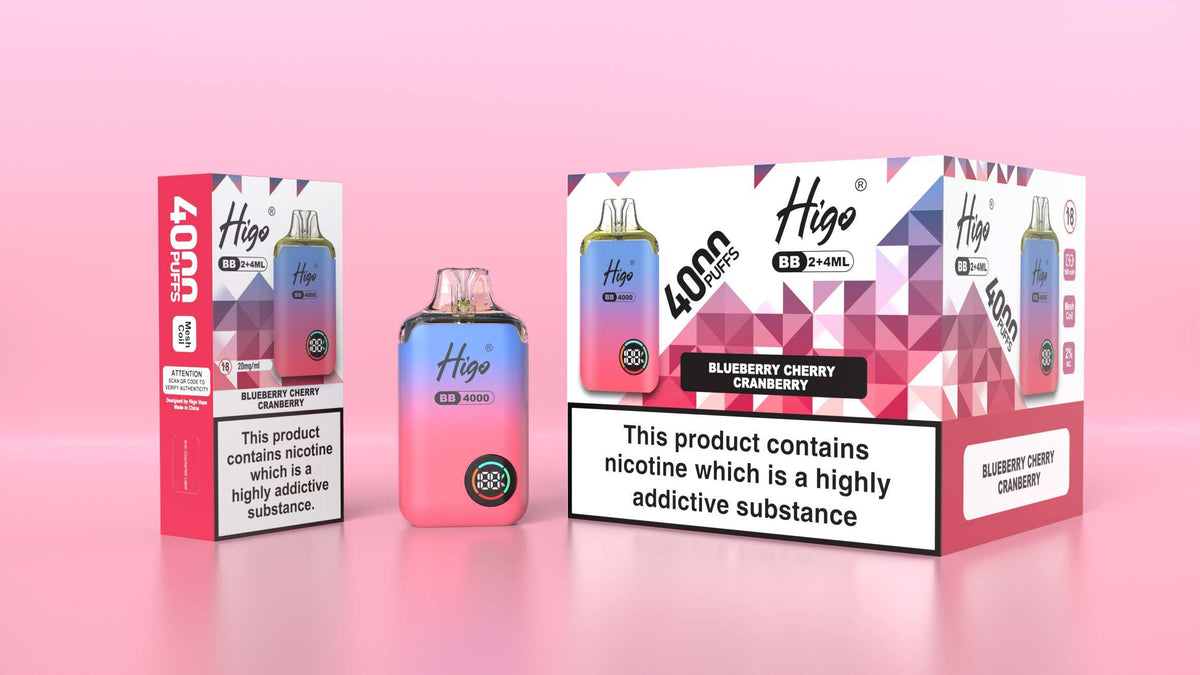 Higo BB 4000 Prefilled Pod Vape Kit Box of 5