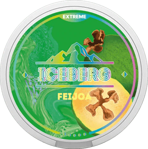 Iceberg Nicotone Pouches - Pack of 10 - Feijoa